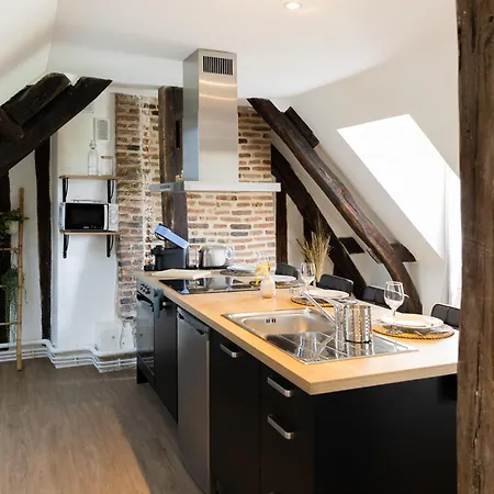Quartier Historique Apartment Tours